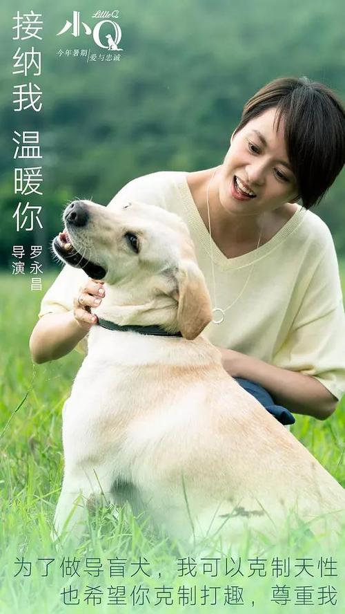 日本金城大学文凭毕业证真实样板